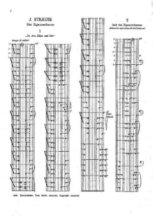 Strauss & Zeller & Suppré & Schubert, etc.