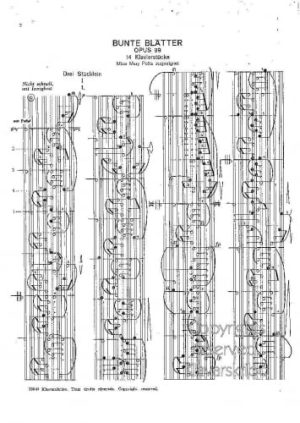 SCHUMANN, R.